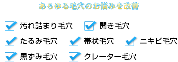 あらゆる毛穴のお悩みを改善　汚れ詰まり毛穴　開き毛穴　たるみ毛穴　帯状毛穴　ニキビ毛穴　黒ずみ毛穴　クレーター毛穴